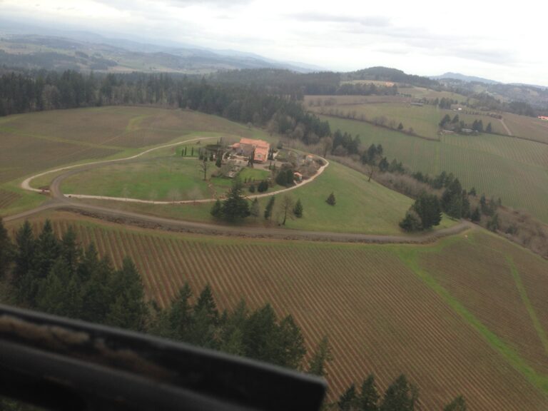 The view of a Willamette valley winery in Portland oregon during a wine tasting tour by helicopter. There are clouds or fog in the distance and pine trees in the foreground with a nice view of the green of the winery grounds where we'll land.