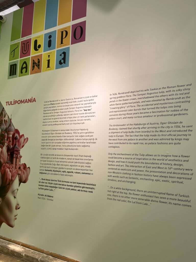 Exhibition wall with an informative display titled 'TULIPOMANIA,' featuring multicolored block text alongside a graphic of a woman with a headdress made of flowers and tulips, with paragraphs of text detailing the historical significance of tulips in art and culture. Taken at the Istanbul Tulip Museum in April 2024 during the Istanbul Tulip Festival.